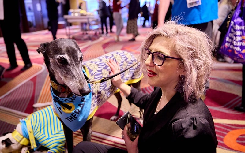 Greyhounds provided joy to all at IDC2022